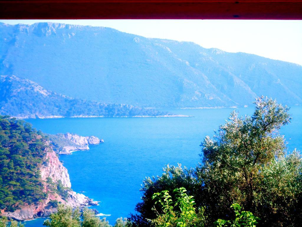 Kabak Armes Hotel Faralya Dış mekan fotoğraf