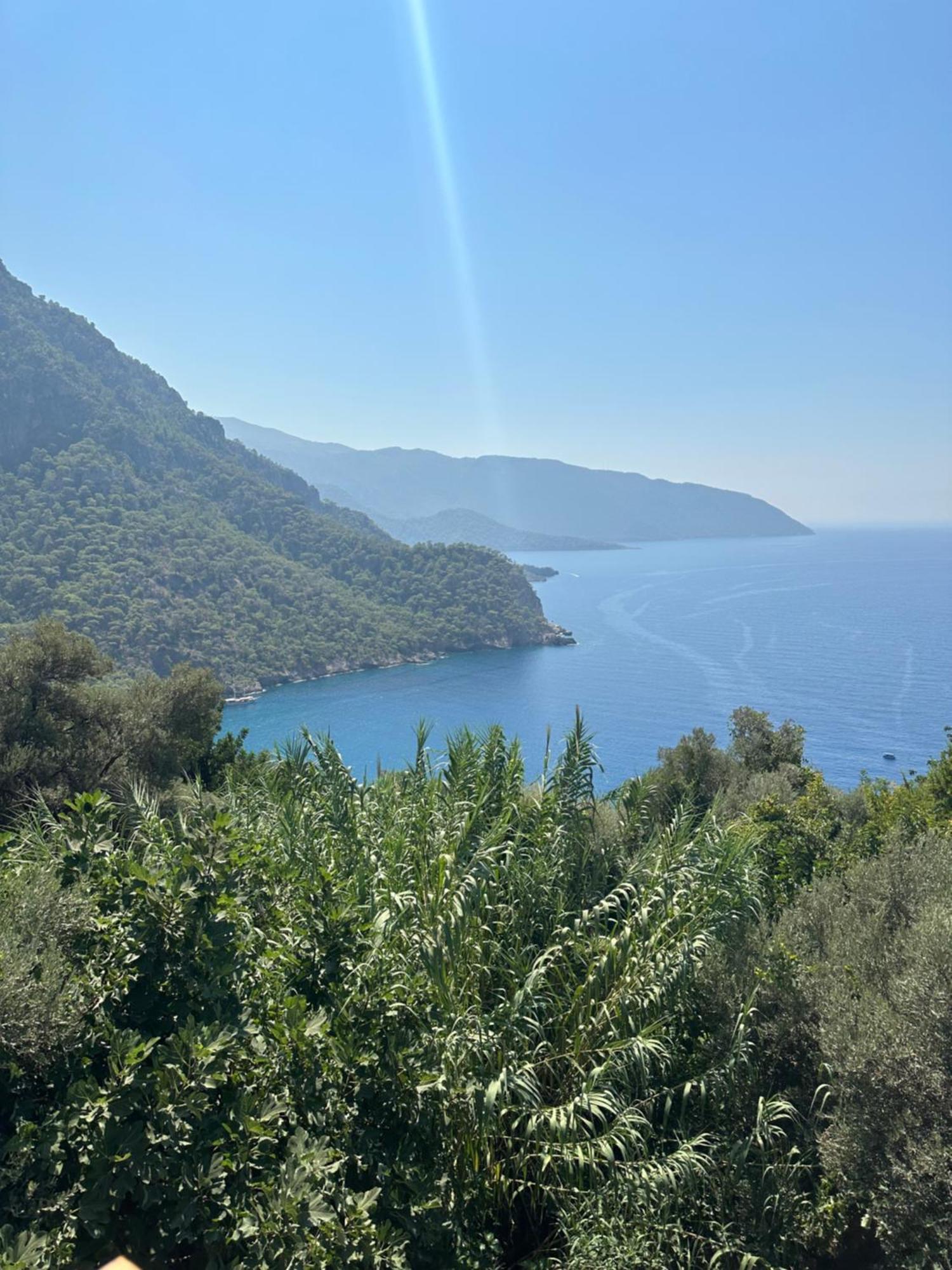 Kabak Armes Hotel Faralya Dış mekan fotoğraf